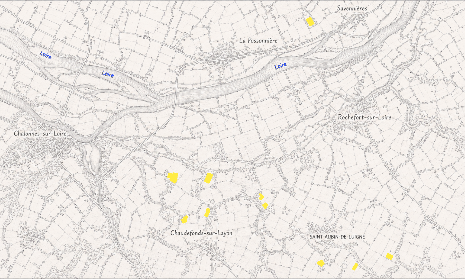 Carte ancienne en noir et blanc montrant des villes près de la Loire avec zones jaunes marquées.