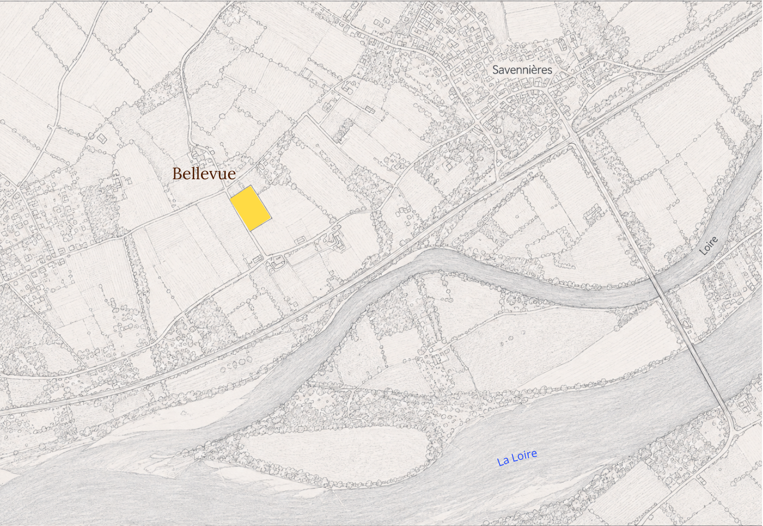 Carte détaillée montrant Bellevue, Savennieres et le fleuve La Loire avec une parcelle jaune marquée.