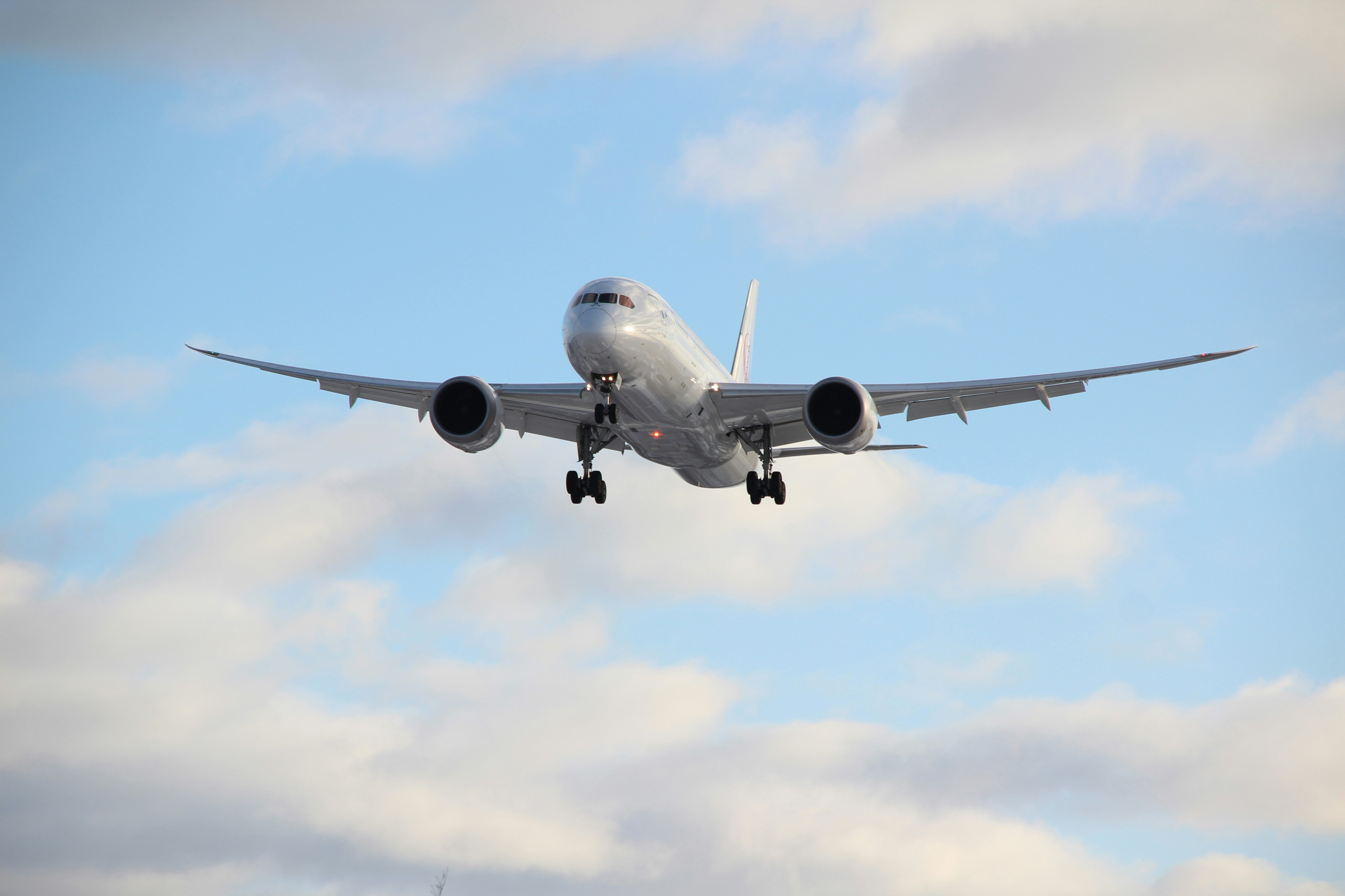 Best Airlines for Shipping Pets Internationally in 2025