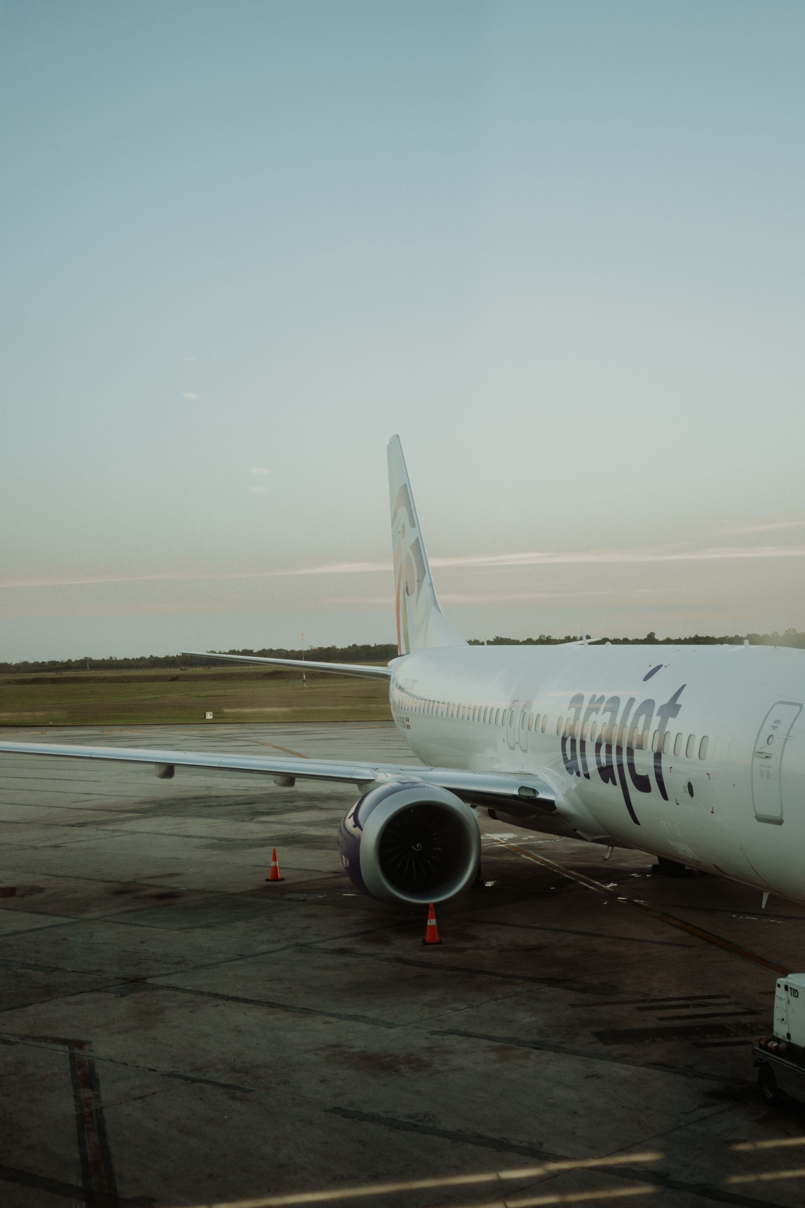 How do climate embargoes affect international pet shipping schedules?
