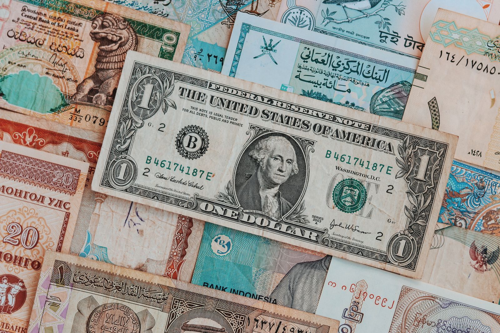 How Do Currency Exchange Rate Swings Affect the Final Cost of an International Pet Relocation Invoice?