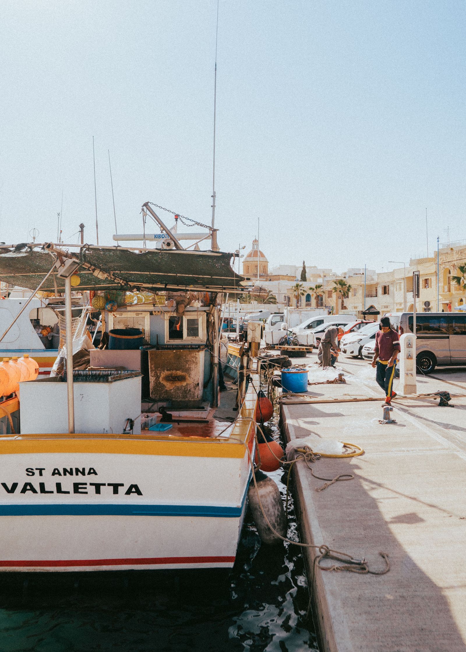 What Are Malta's Pet Entry Requirements Given Its Rabies-Free Status?