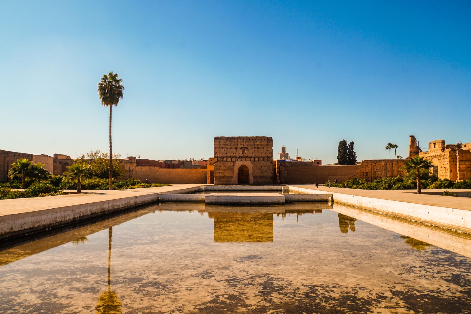 What Are Morocco's Pet Import Requirements for Expats and Relocating Families?