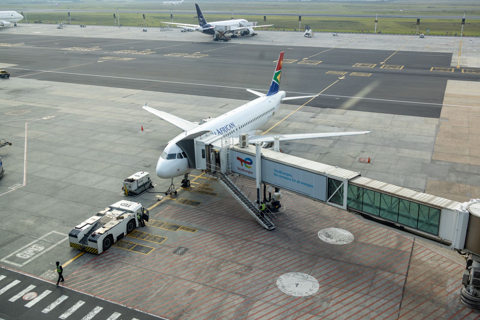 How Does Ethiopian Airlines Handle Pet Cargo Shipments to Sub-Saharan Africa?
