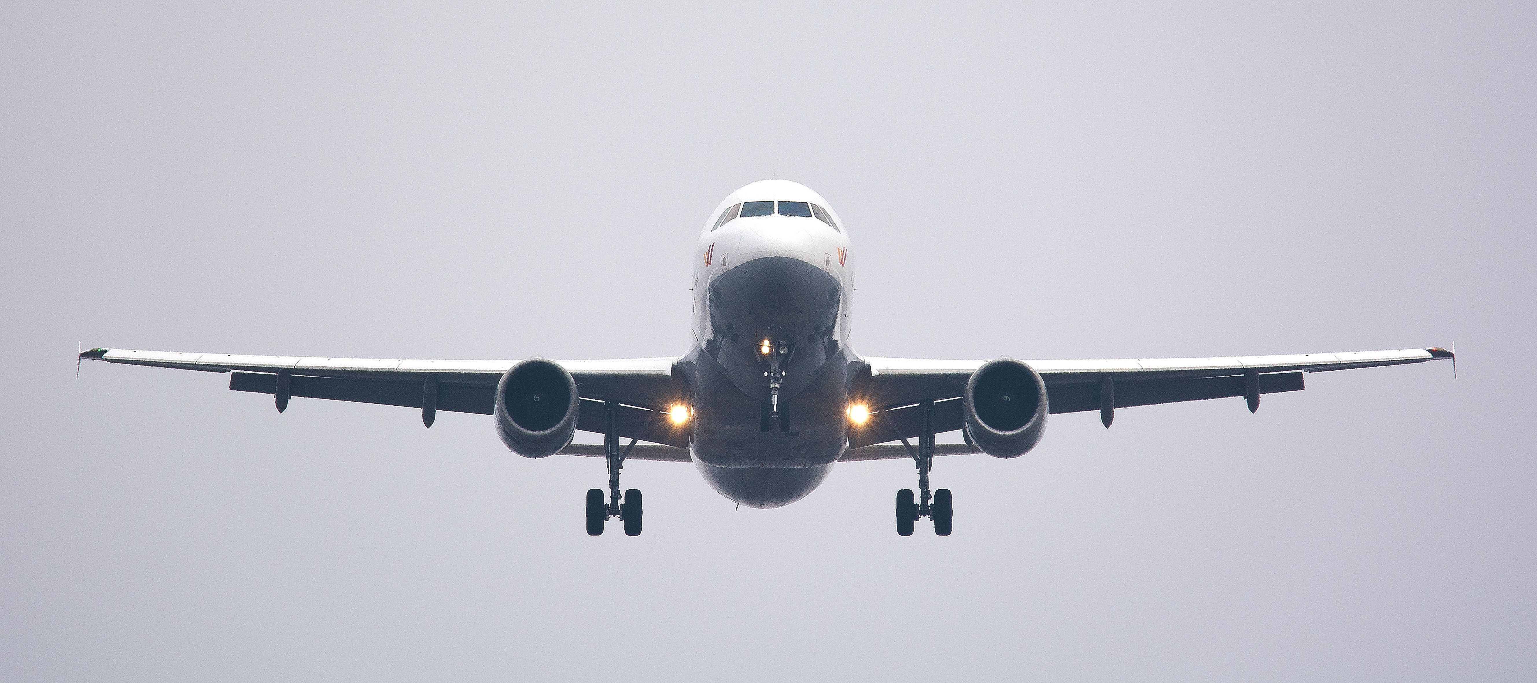 How Codeshare and Interline Deals Complicate Booking Pet Cargo