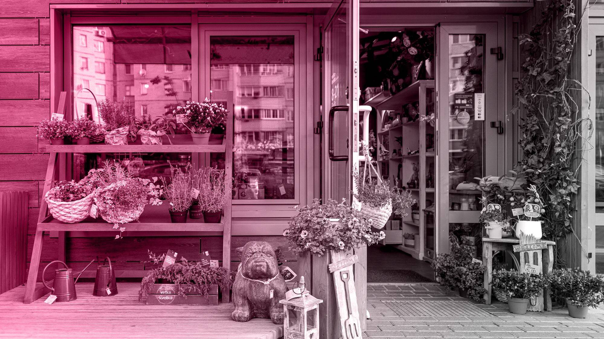 Micro moments and local SEO