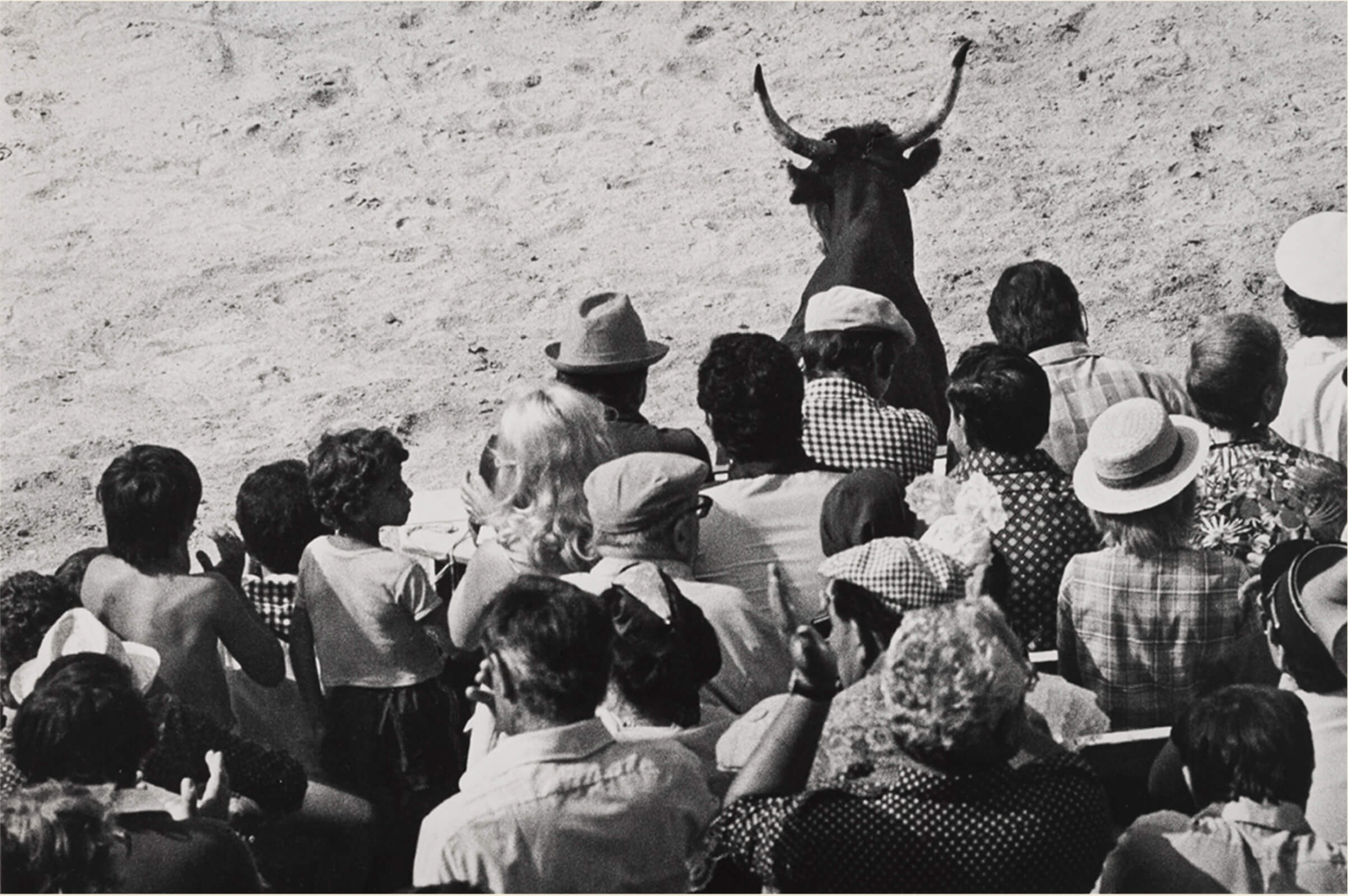 Elliott Erwitt