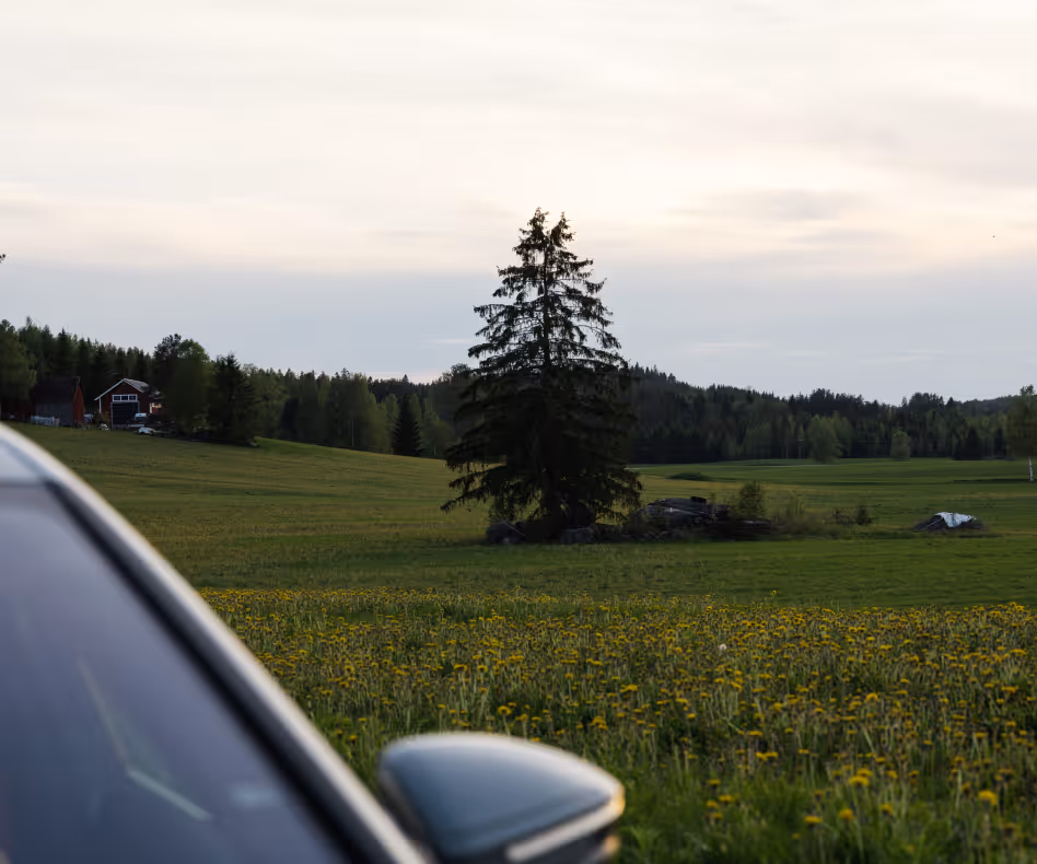 Auto ja pelto, jossa kukkii voikukkia ja taustalla kuusi ja metsämaisema.