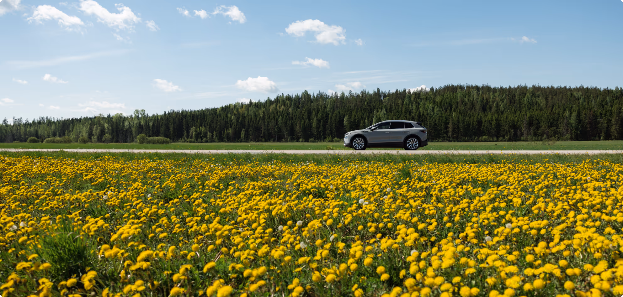 Harmaa auto ajaa maantietä pitkin keltaisen voikukkakedon vieressä metsämaisemassa.