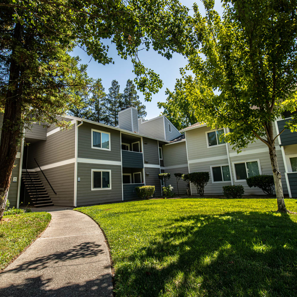 Exterior with trees and walking path