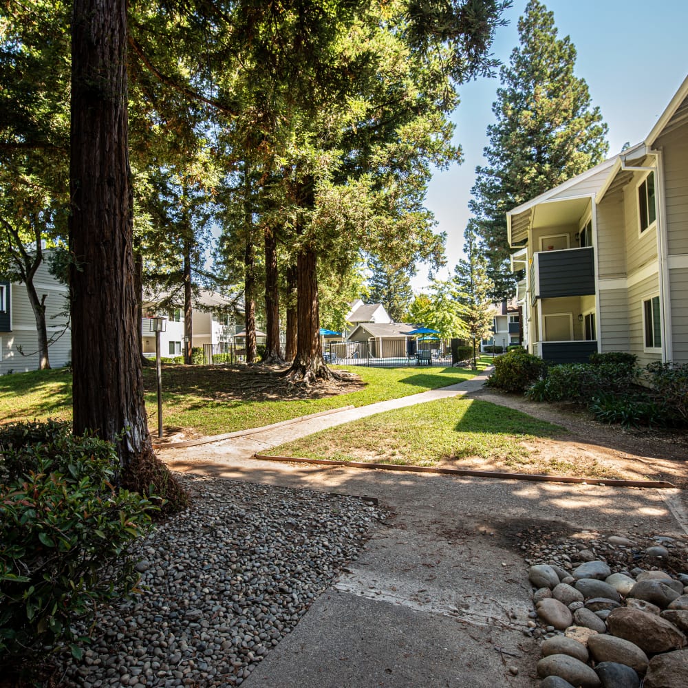 Exterior with trees
