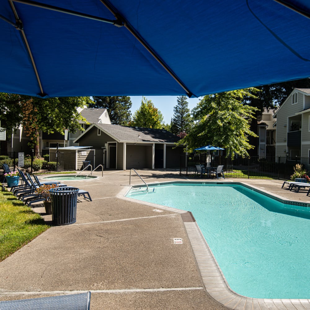 Swimming pool with umbrella