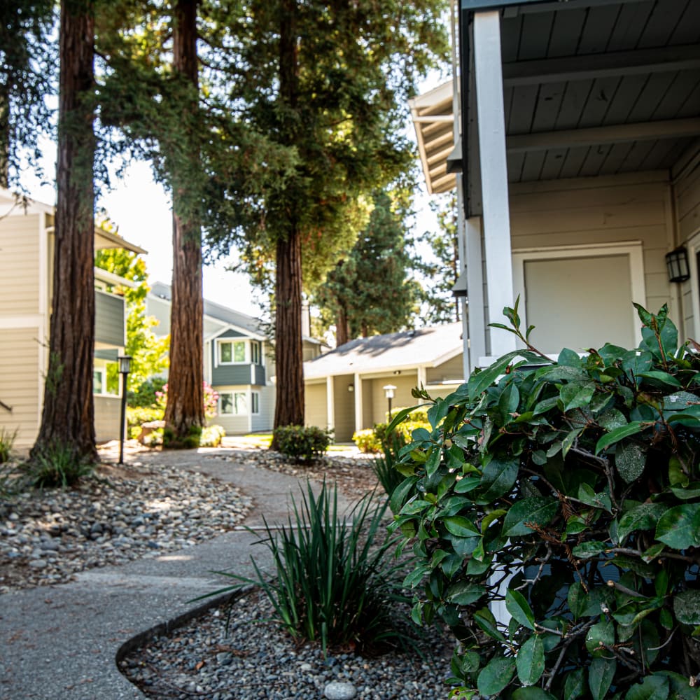 Walking path with exterior