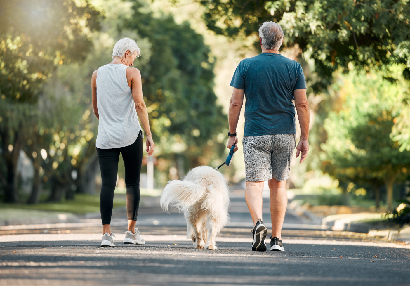 Family with dog outdoors stock image