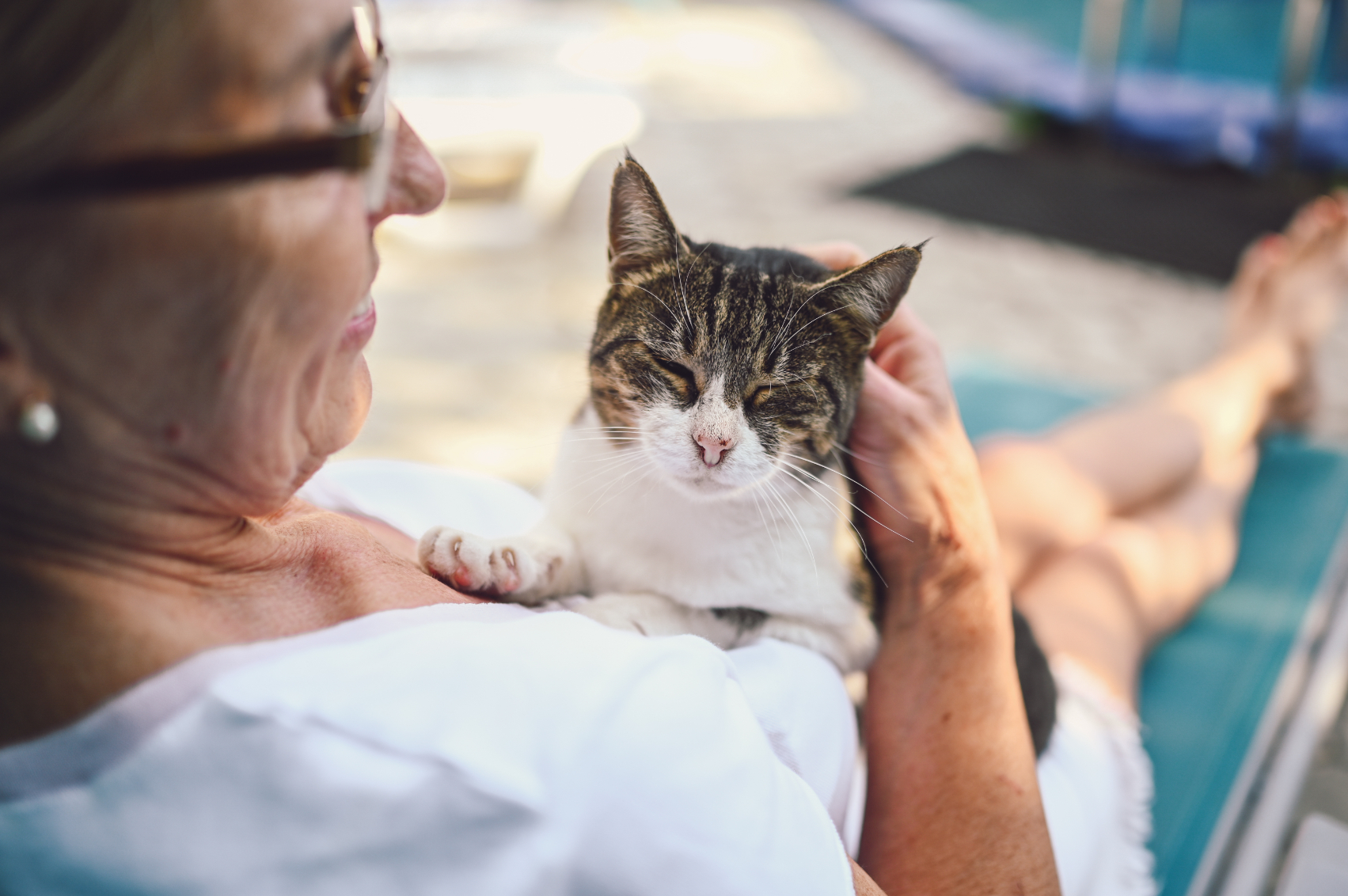 Woman with cat stock image