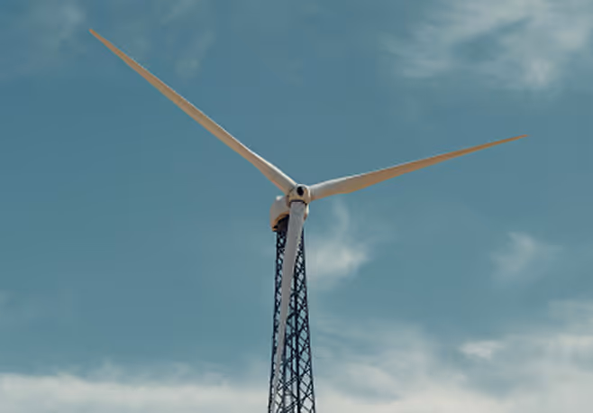 Sustainable growth how businesses can thrive while