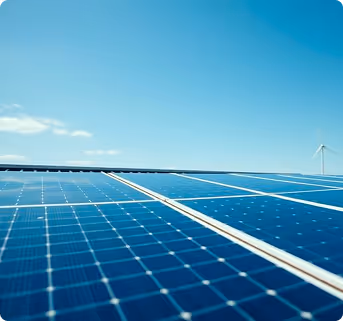 Sustainable growth how businesses can thrive while