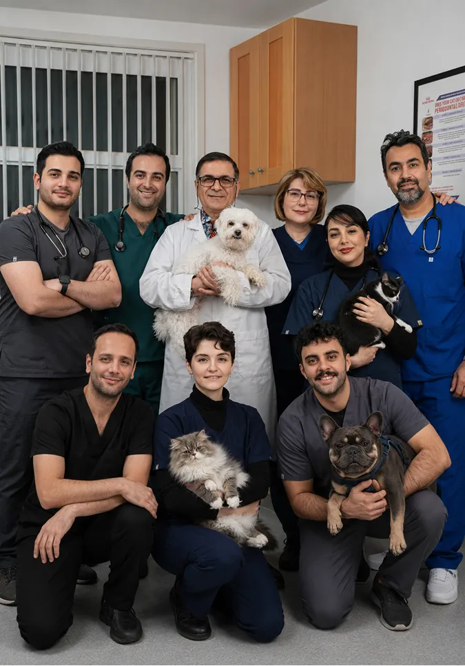 The TVS Animal Hospitals team in scrubs with patients, including a white dog, two cats and a French bulldog.