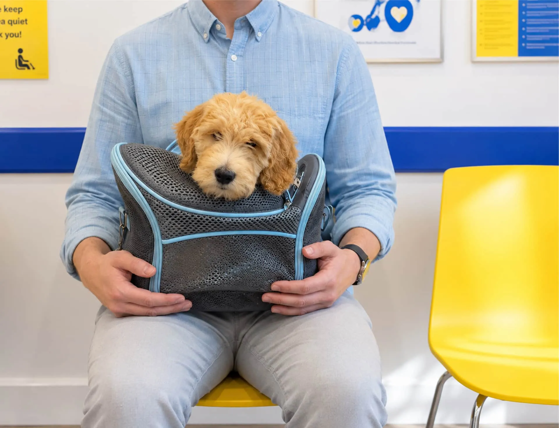A client seated in the TVS Animal Hospitals waiting room with a goldendoodle puppy in a carrier.