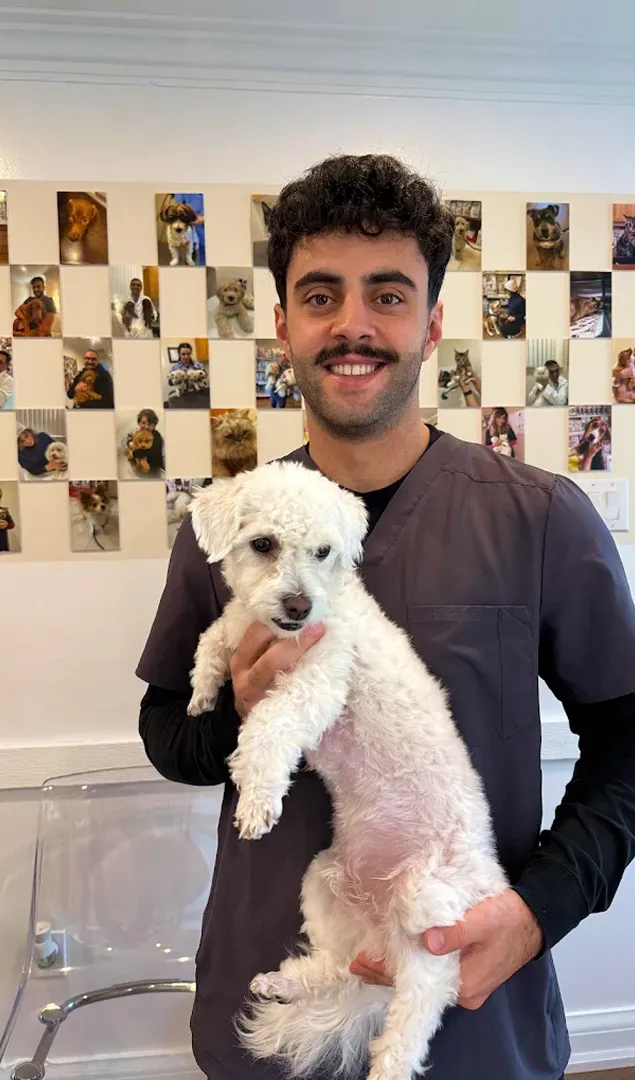 A TVS Animal Hospitals team member holding a small white dog in front of the clinic's wall of patient photos.