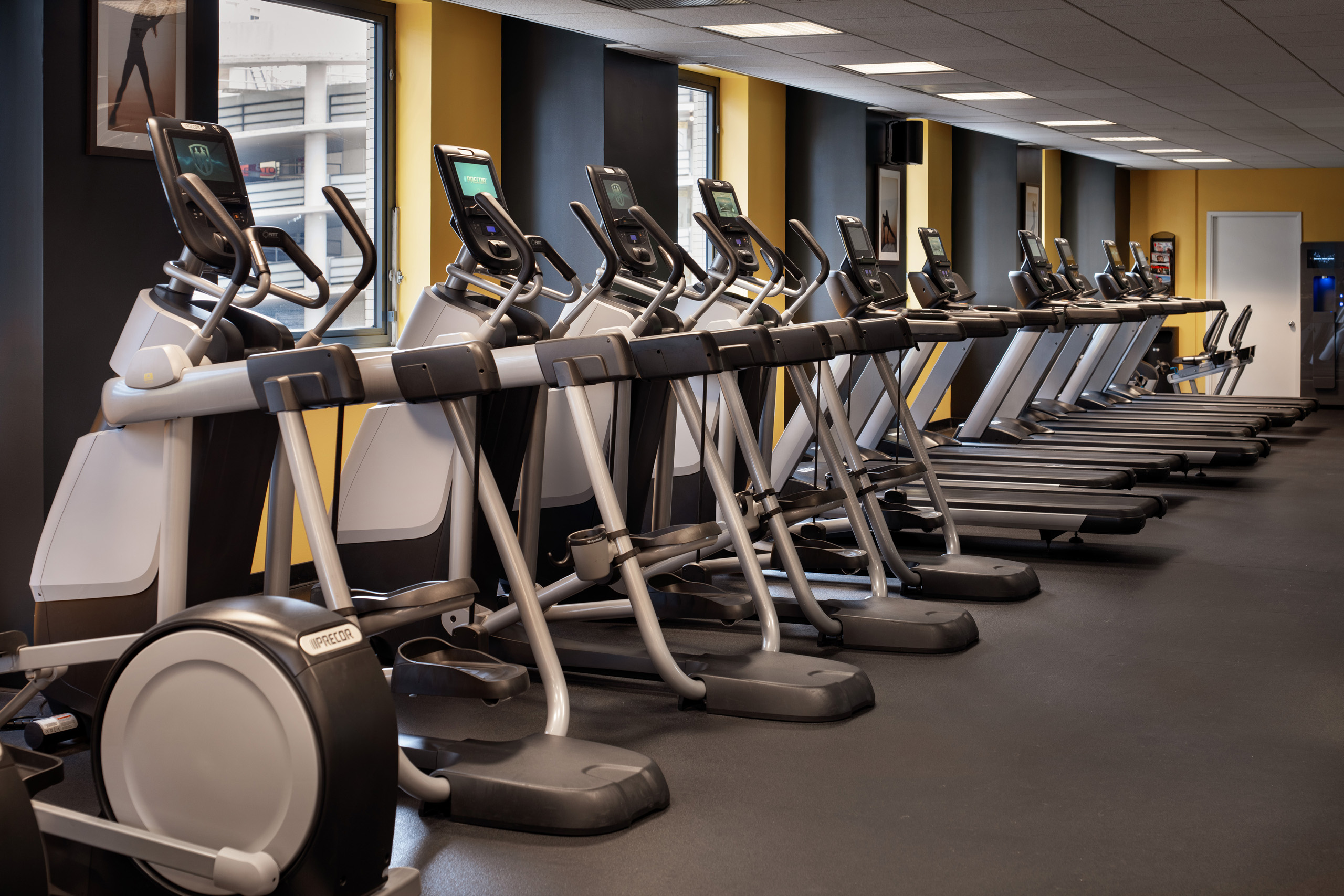Row of treadmills and elliptical machines.