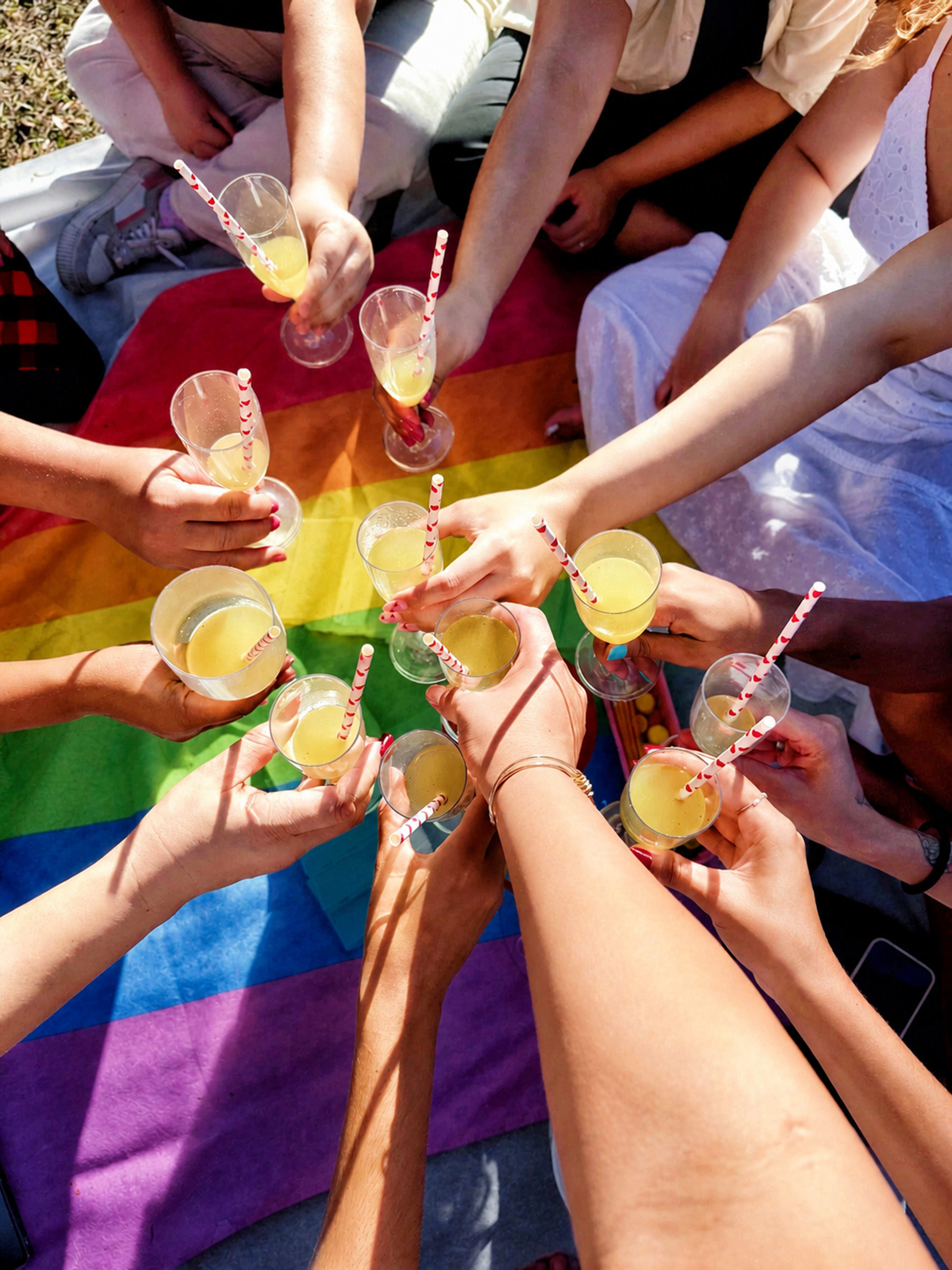People toasting with drinks over a rainbow pride flag picnic blanket outdoors.