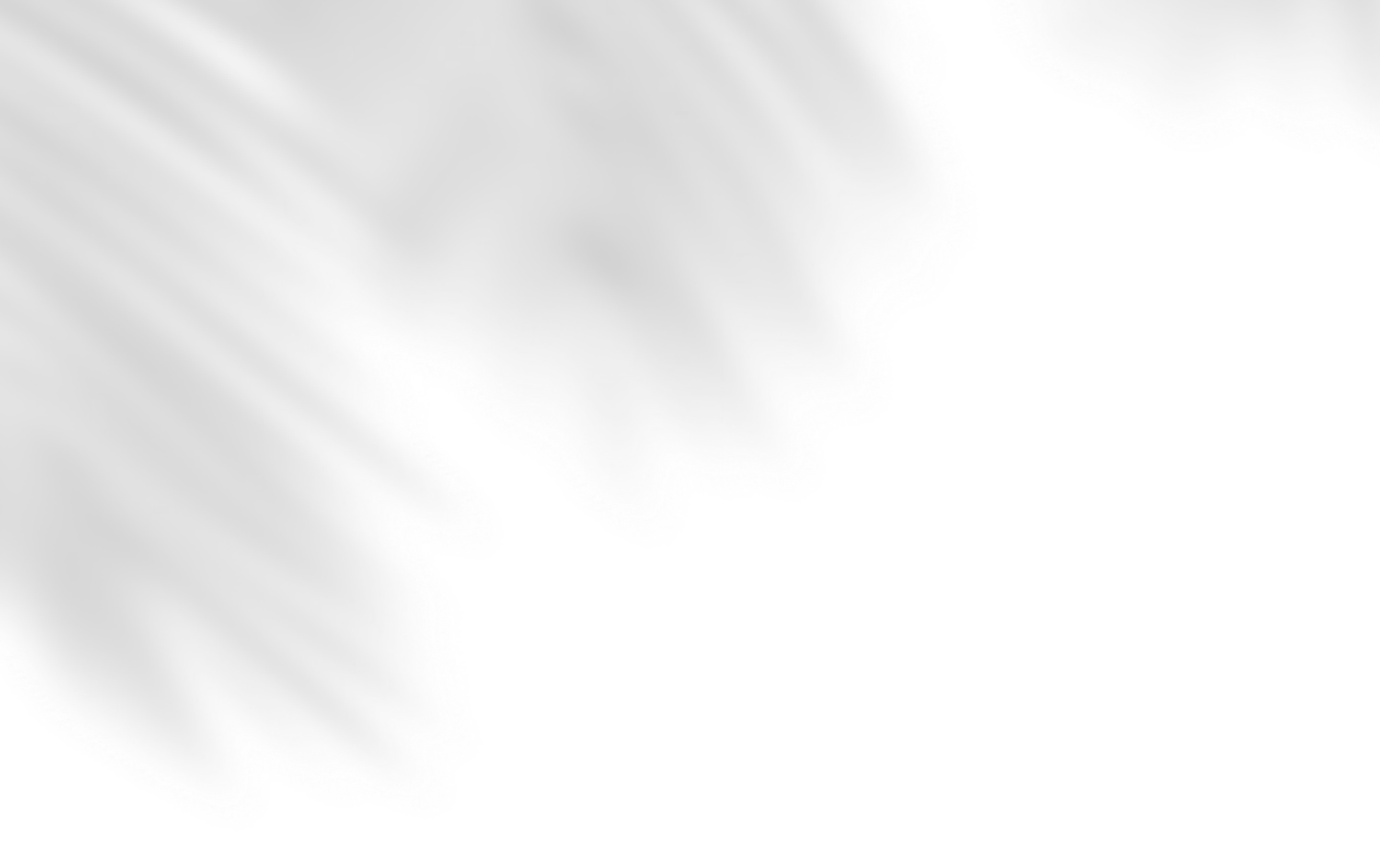 Shadow