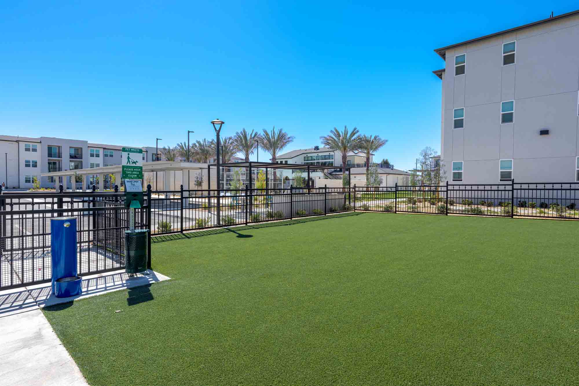 Dog Run