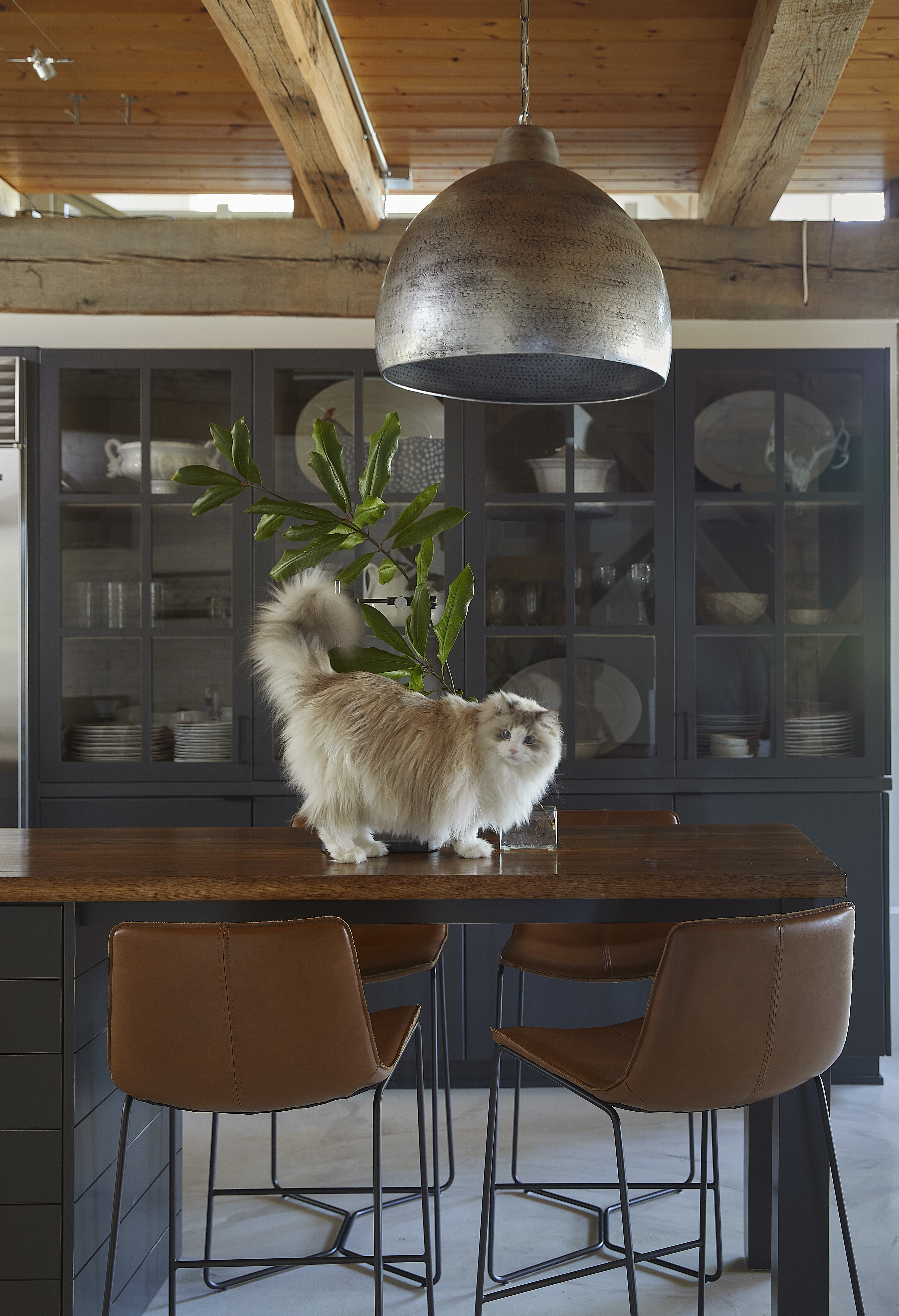 Kitchen in a Barn
