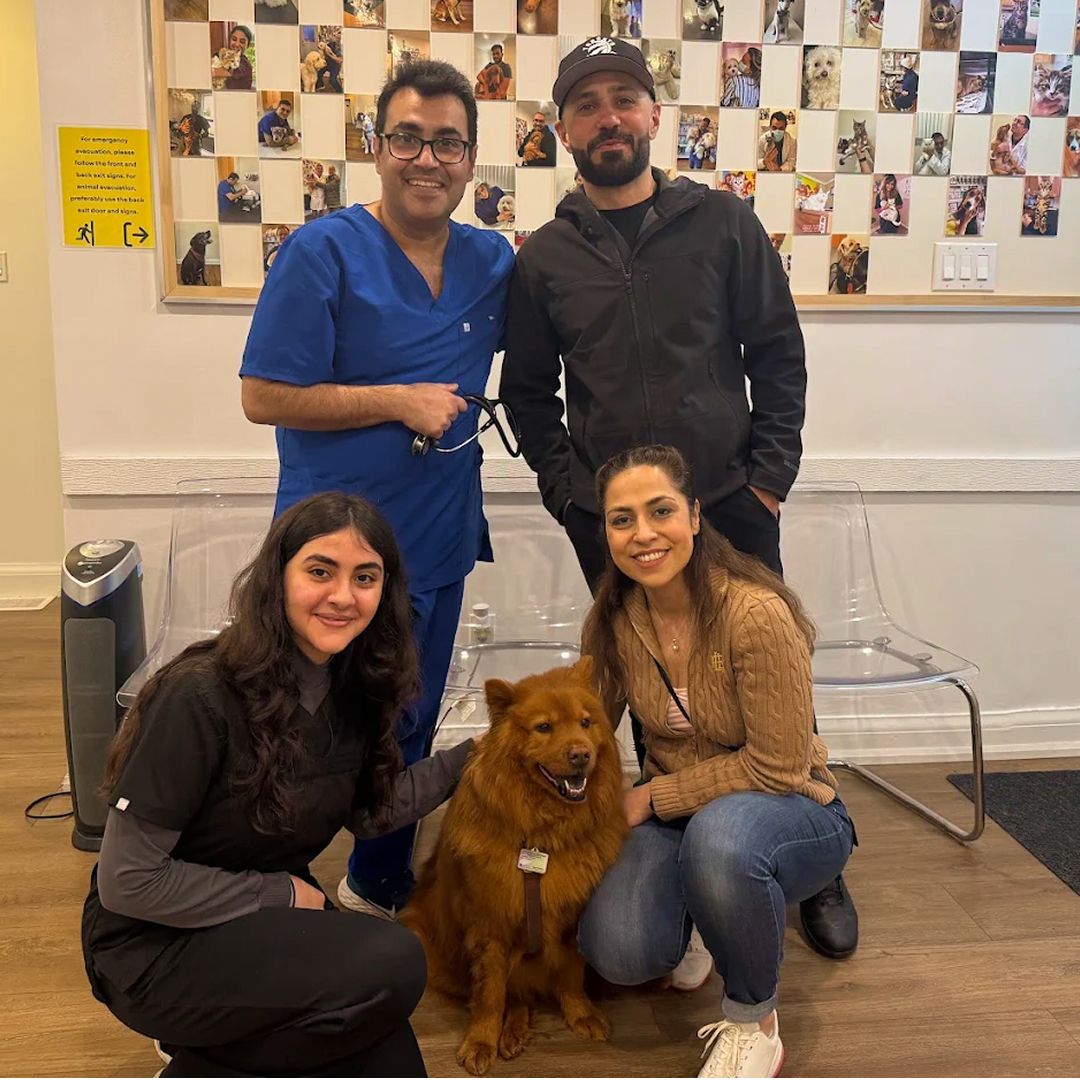 Team and Family With Chow Chow
