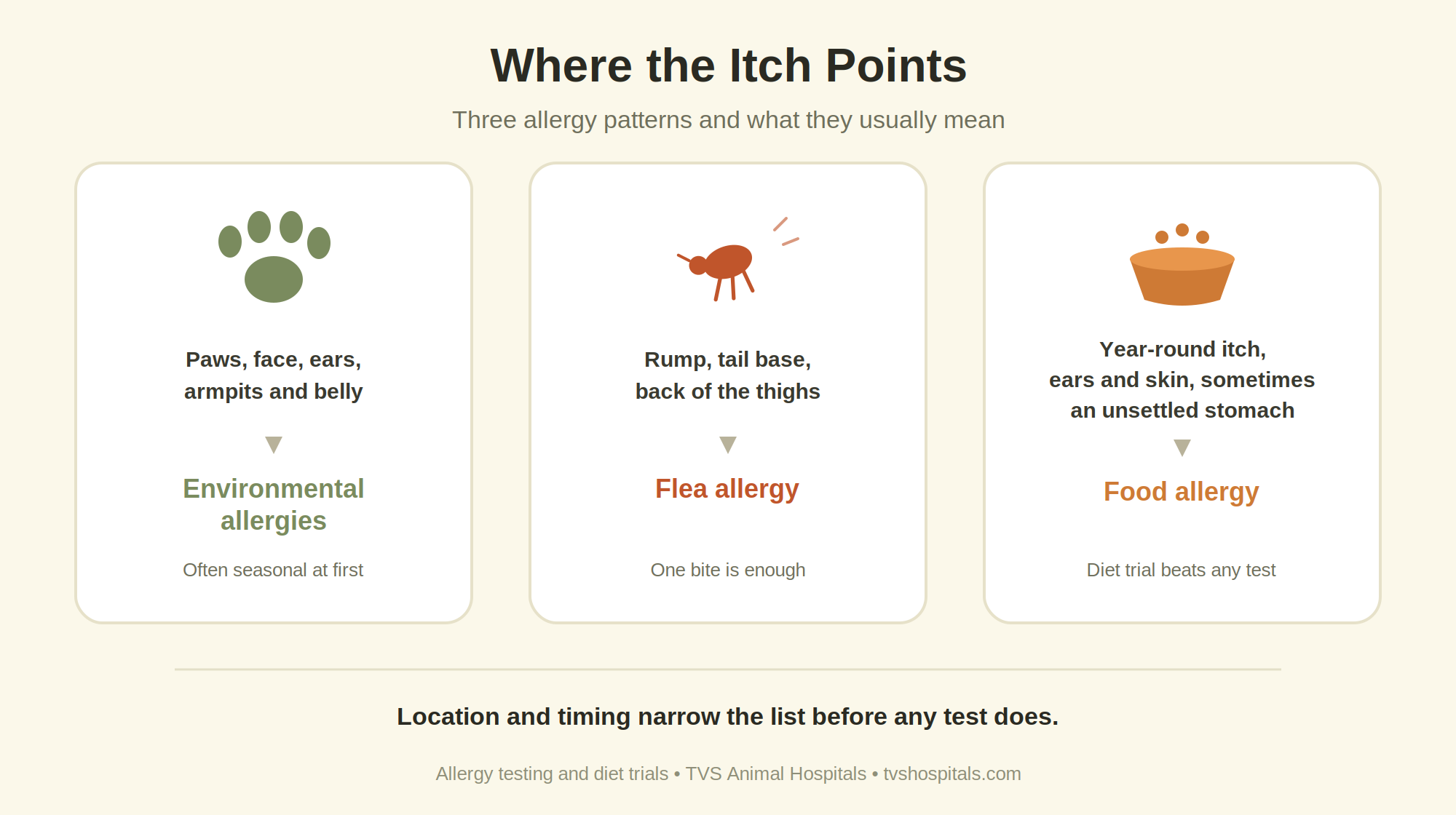 Infographic matching three itch patterns to their likely cause: paws and face to environmental allergies, rump and tail base to flea allergy, and year-round itch to food allergy.
