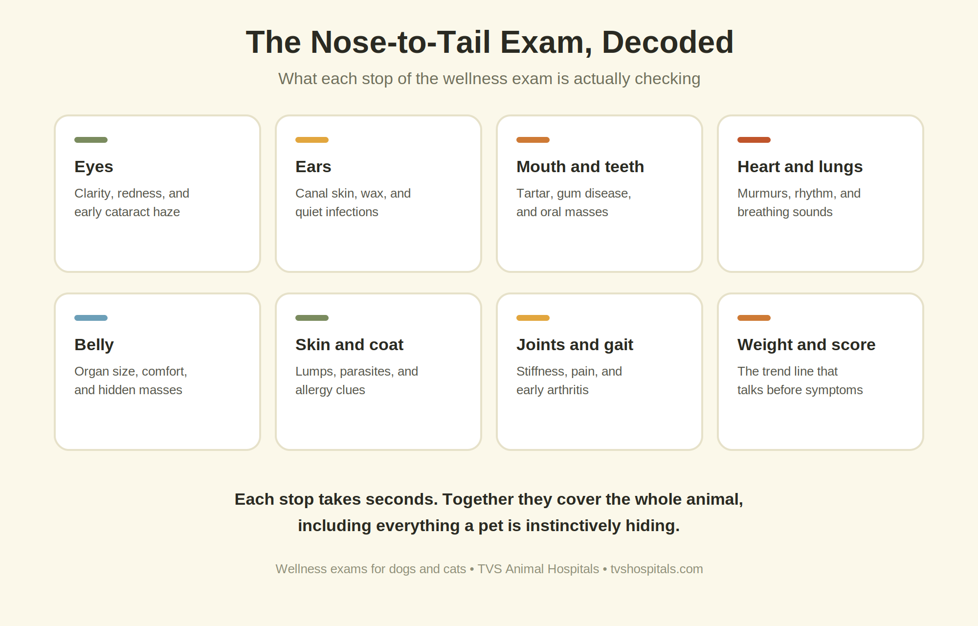 Eight-tile infographic decoding the nose-to-tail wellness exam, showing what the vet checks in the eyes, ears, mouth, heart and lungs, belly, skin, joints, and weight.