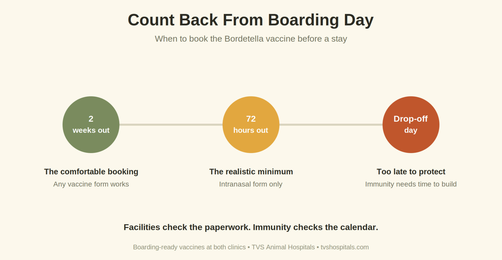 Countdown infographic showing when to book the Bordetella vaccine before boarding, from two weeks ahead as ideal to the day of drop-off as too late.