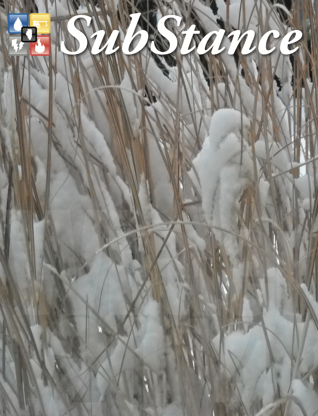 Publication cover