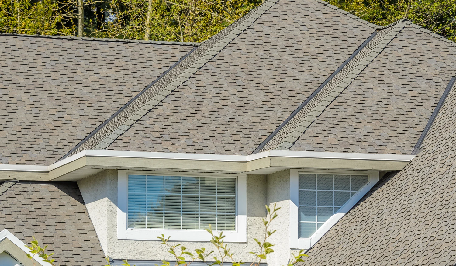 Close-up of roof shingles