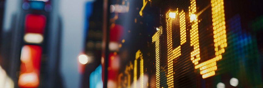 Endurance Advisory insight cover: IPO Process