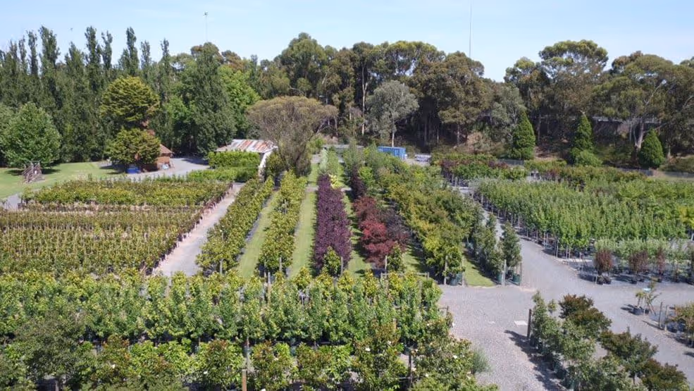 The Vital Role of Wholesale Plant Nurseries in Supporting Melbourne's Green Spaces
