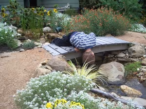 gallery-cottage-stream-5