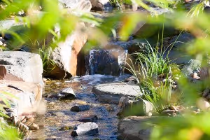 gallery-eltham-stream