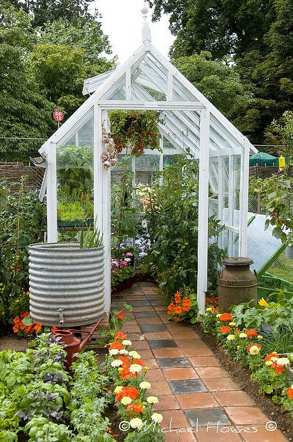 backyard greenhouses