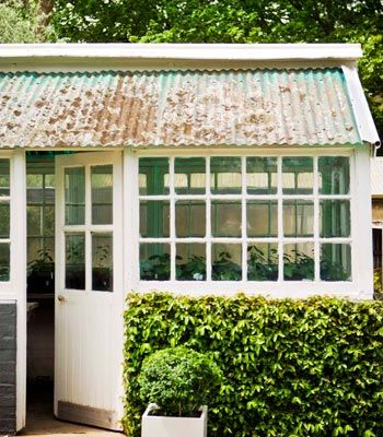 dingy old shed greenhouse