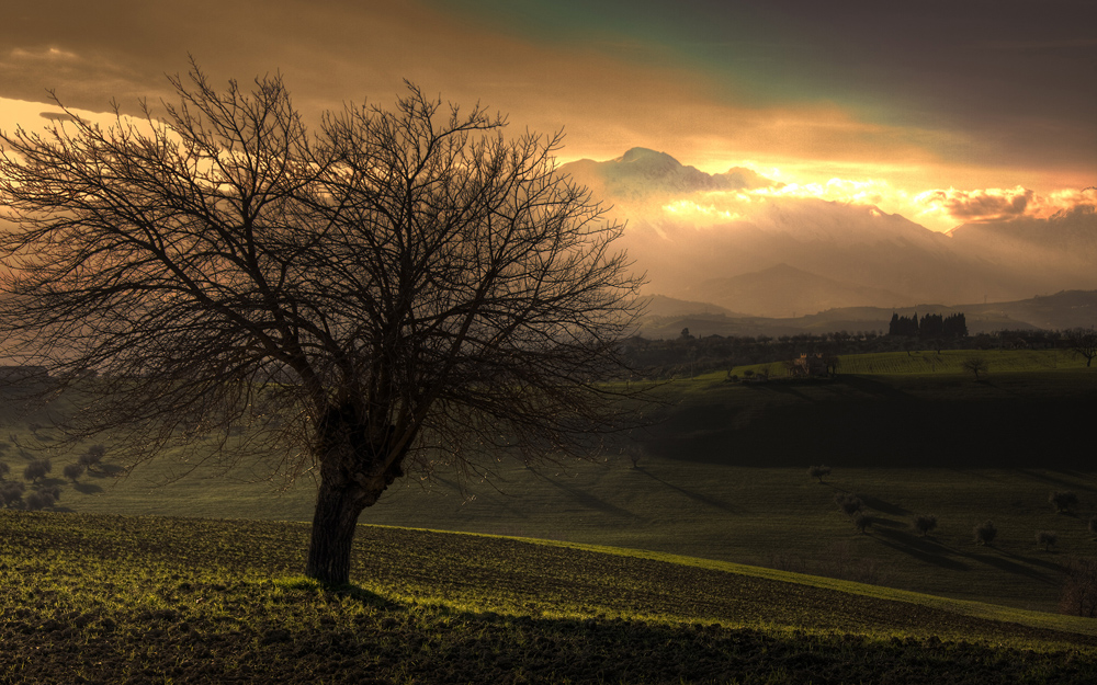 Beautiful and Bare - Inspiring images for Winter