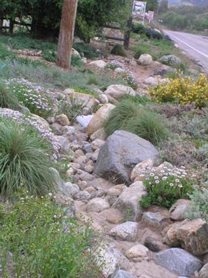 Native garden inspiration
