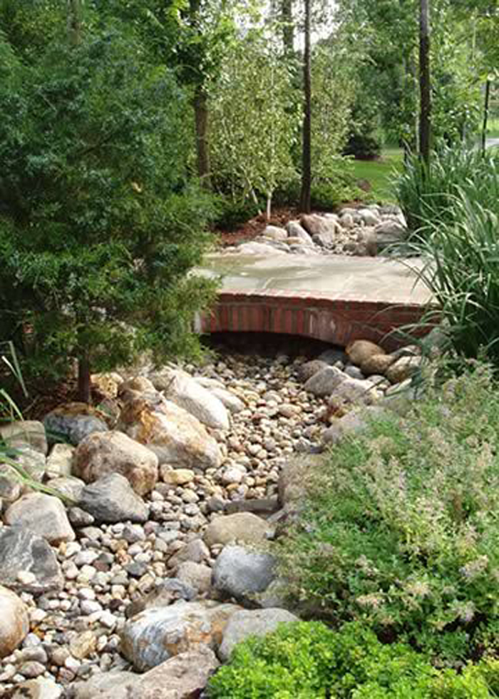 Native garden design inspiration