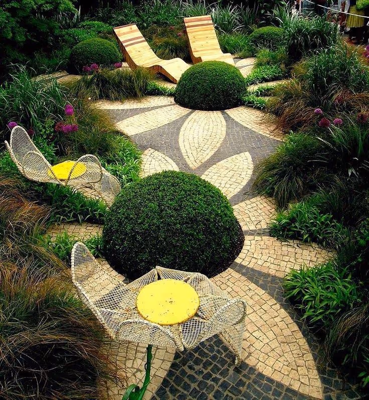 climbing plants Melbourne