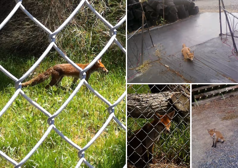 8 Secrets about Kilby Park Tree Farm that no one ever told you