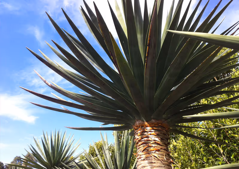 2 Easy Ways to Brighten Up any Winter Garden