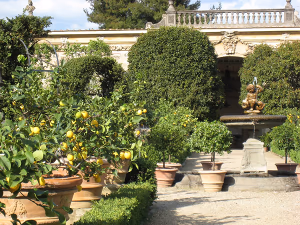 Italian Garden