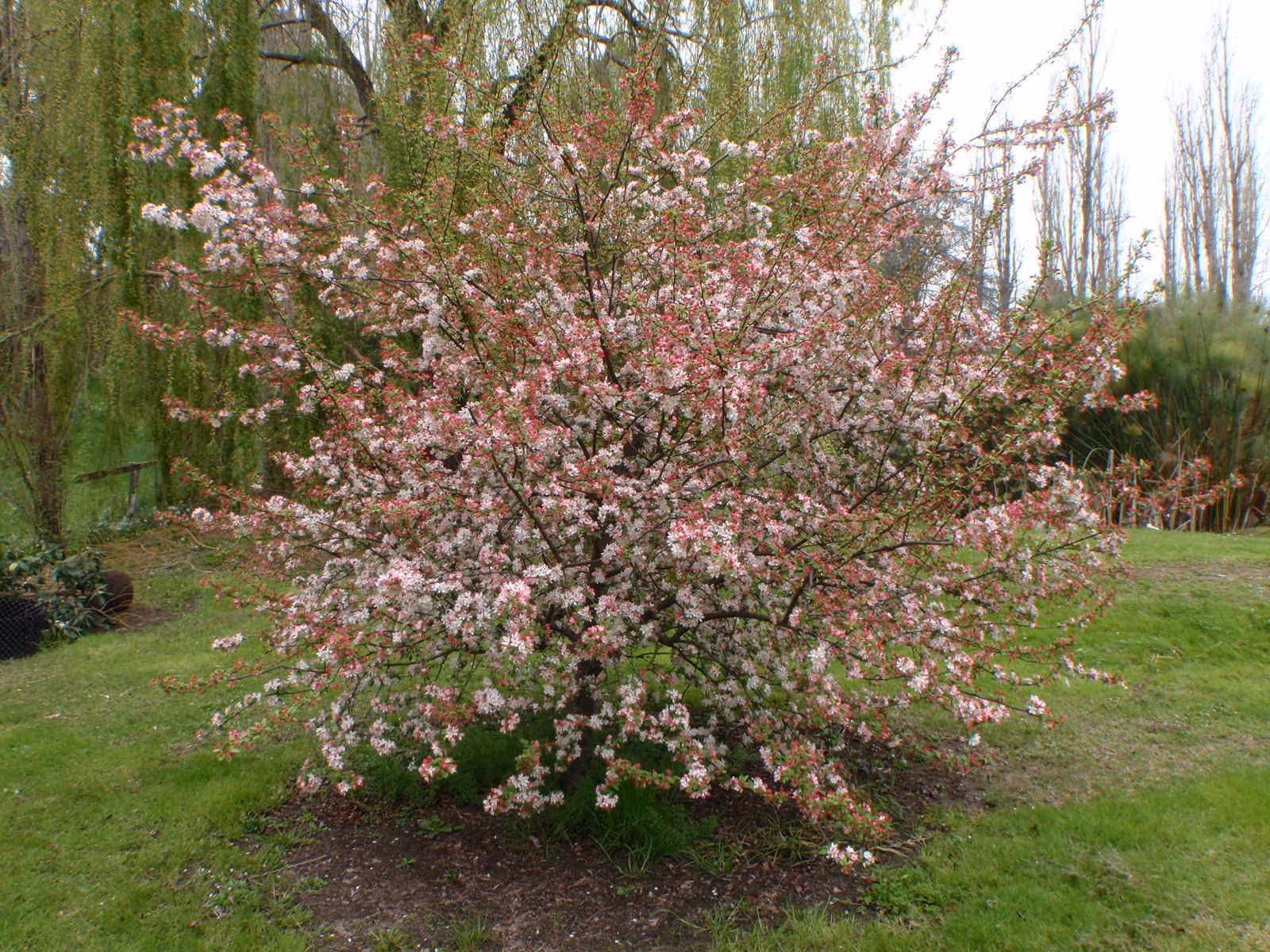 Planting in warmer weather?