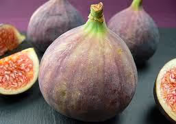 A fruitful new trend
